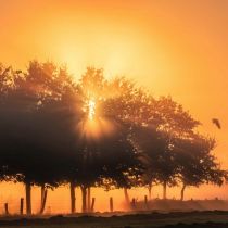 20230906 dsc07026 bearbeitet